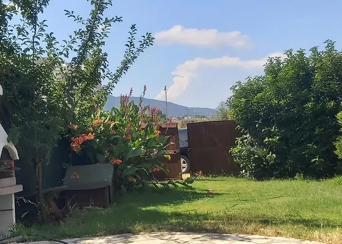 Casa Isabel Iun P9639 オルビア