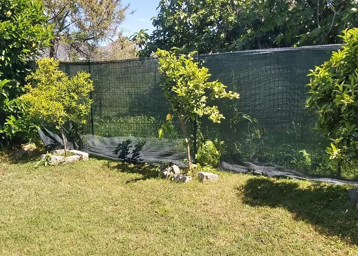 アパート Casa Isabel Iun P9639 *